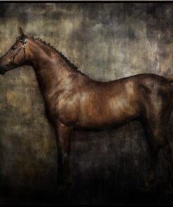 Equestrian