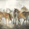 American Made Wall Art from Davis-Bailey | In the Wild Desert I