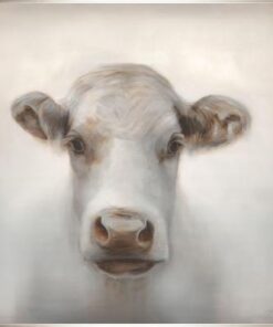 Cows