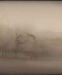 Haze I