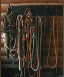 American Made Wall Art from Davis-Bailey | Horse Reins