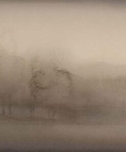 Haze I