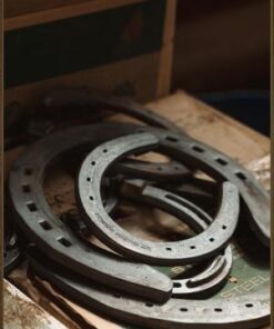 Alternative view of Steel Shoes